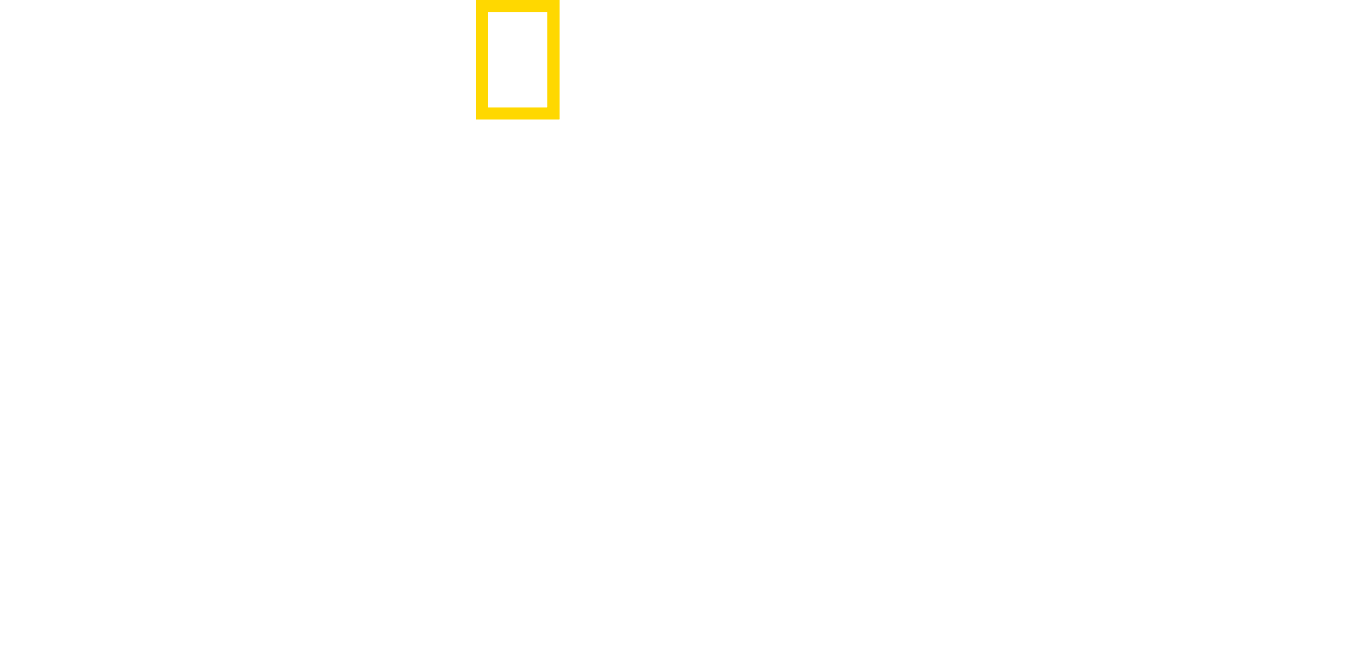 No Taste Like Home with Antoni Porowski logo