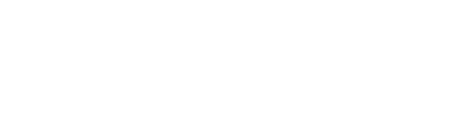American Mustang logo