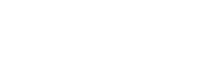 OBEX logo