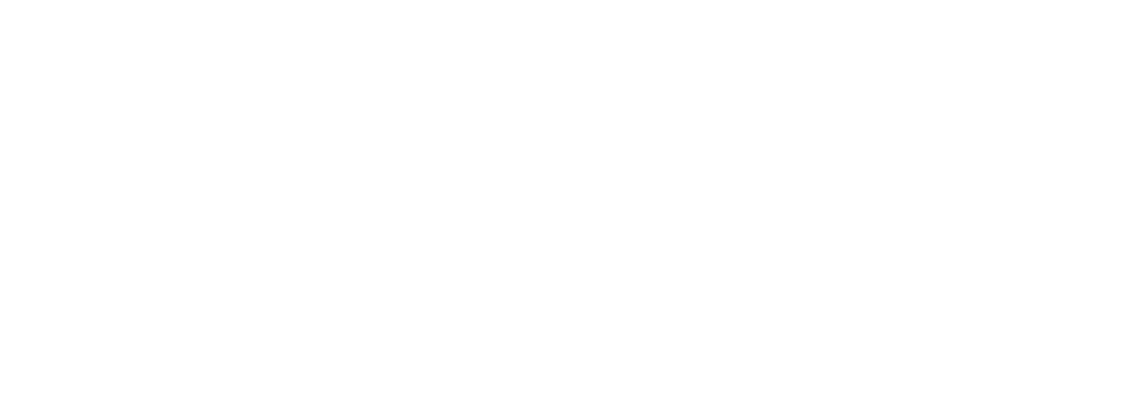 The Tourist logo