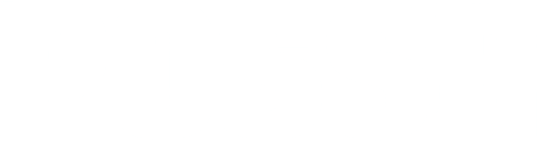 Posse logo