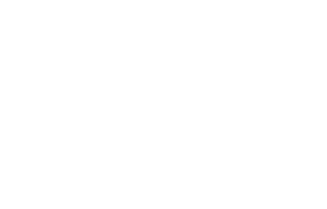 Secrets from a Stylist logo