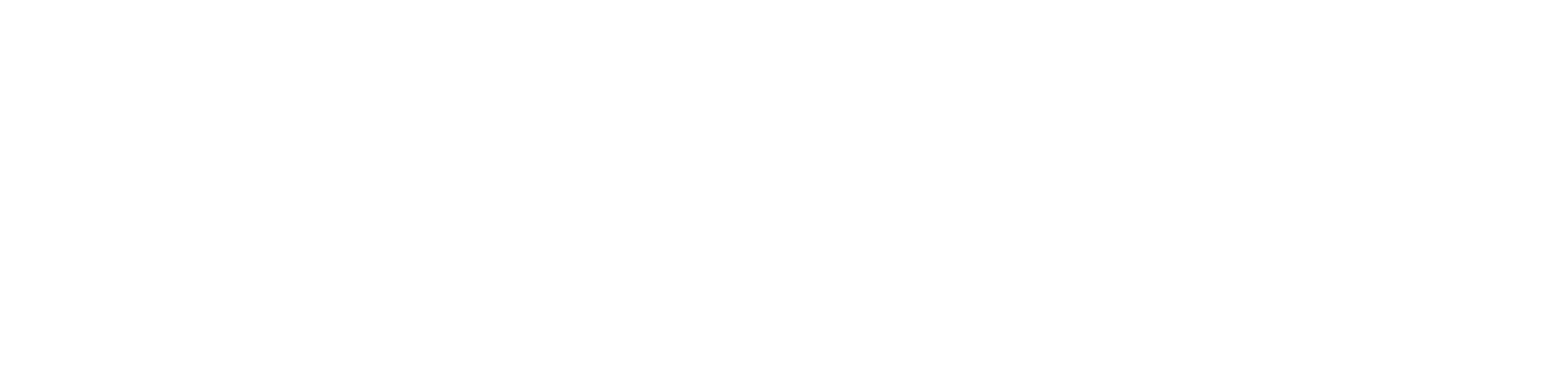 Lie with Me logo