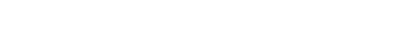The Naked Director logo