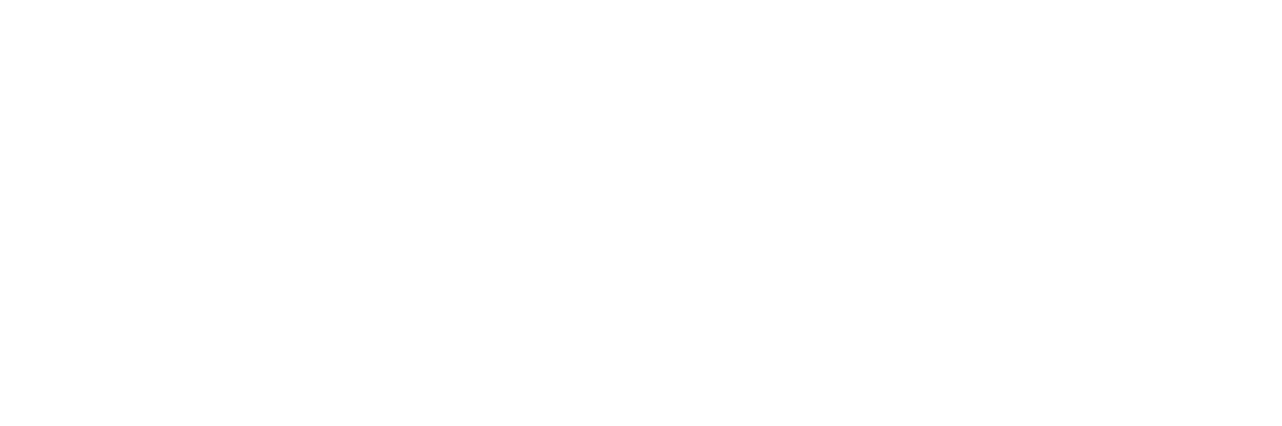 Blue Velvet logo