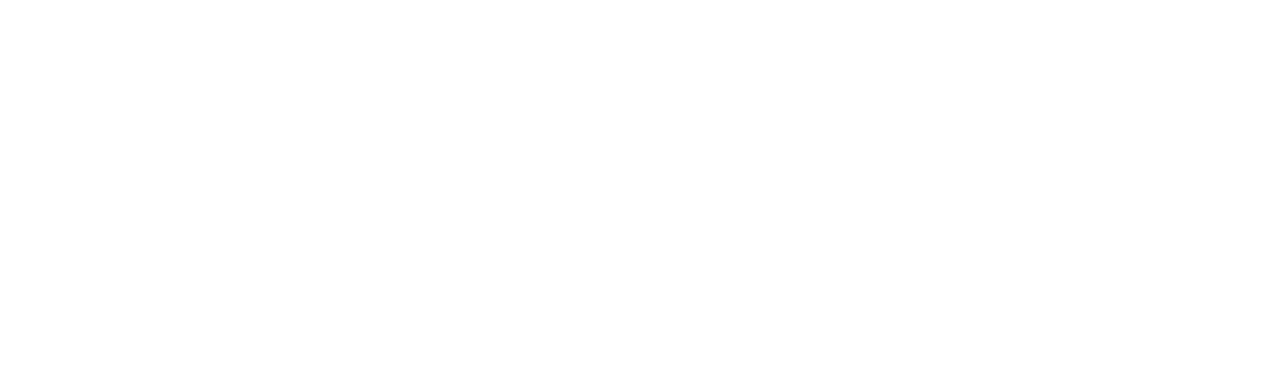 Secret Window logo