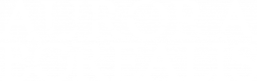 Aurora Borealis: Northern Light logo