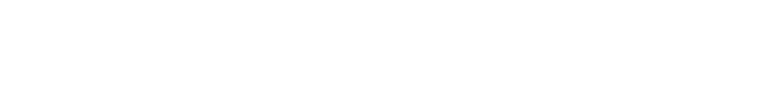 Stowaway logo
