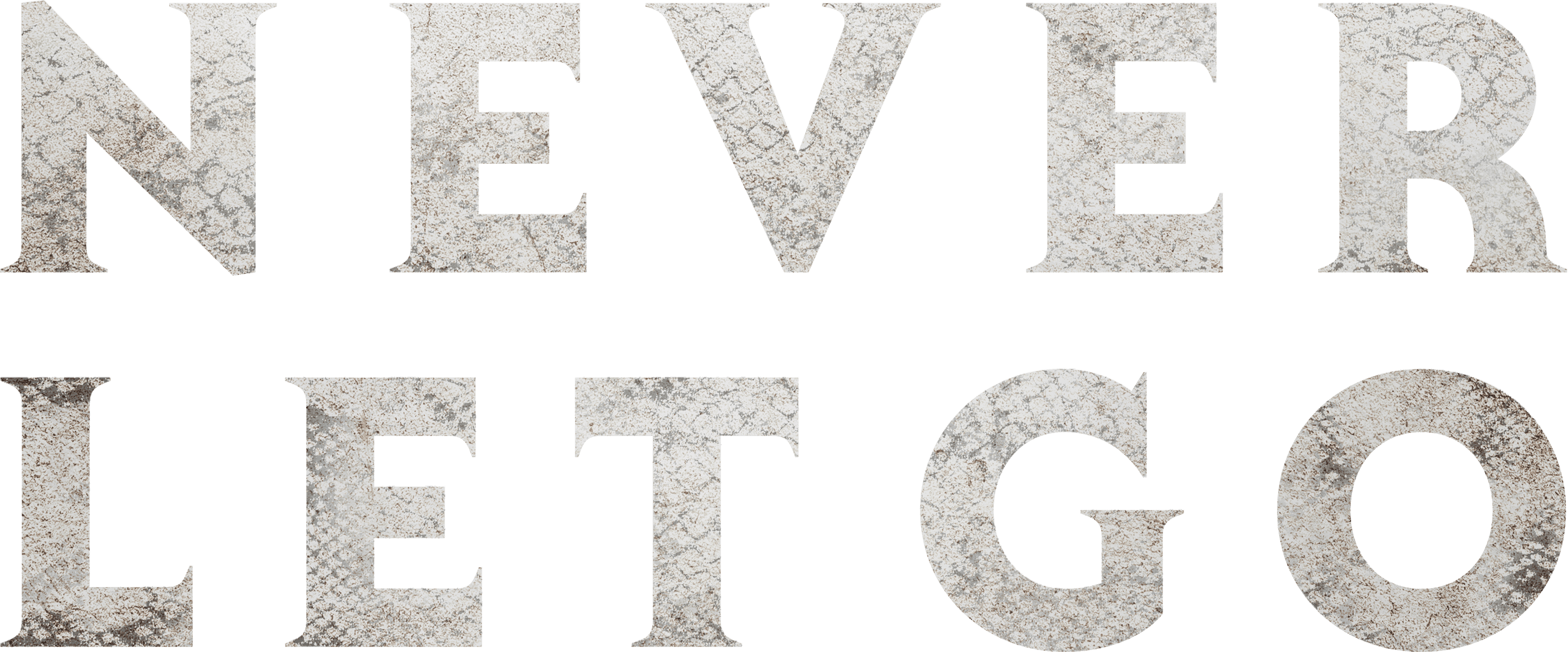 Never Let Go logo