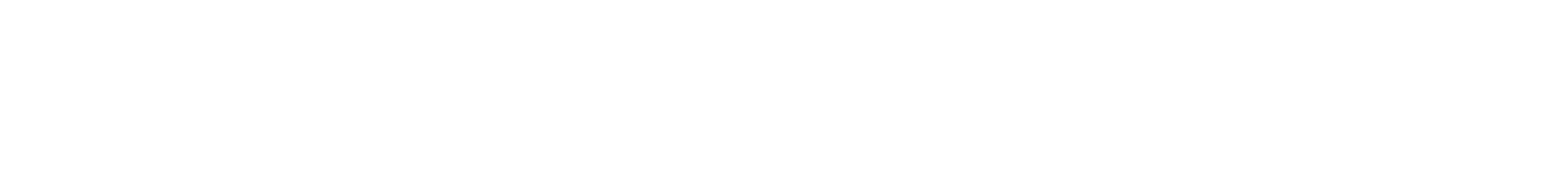 Elisa & Marcela logo