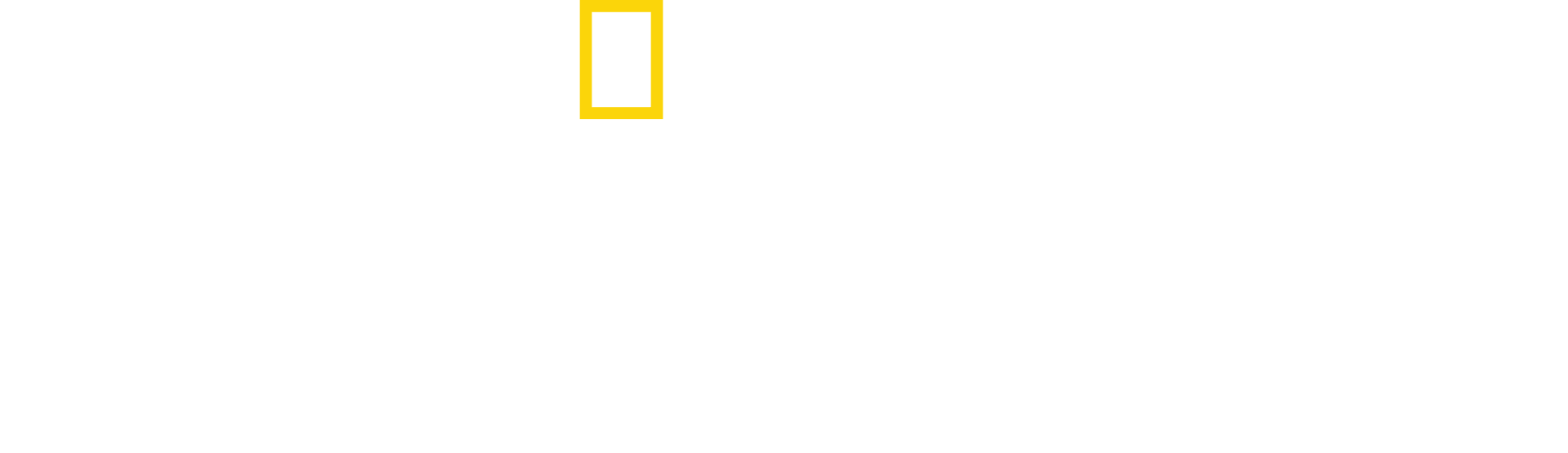 Limitless: Live Better Now logo