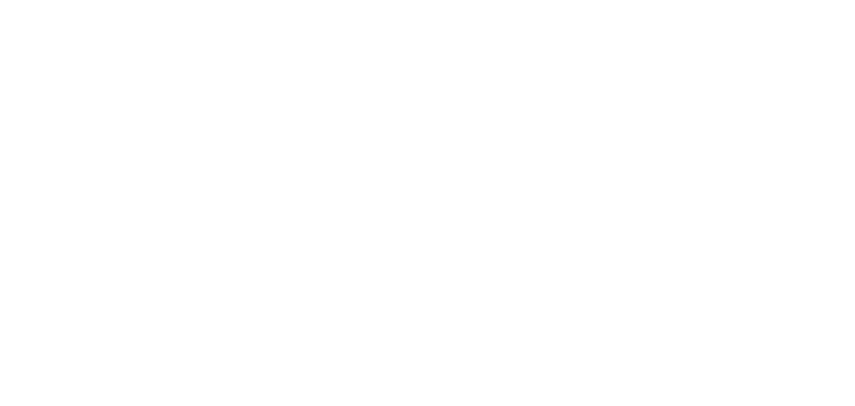 The Cleaning Lady logo