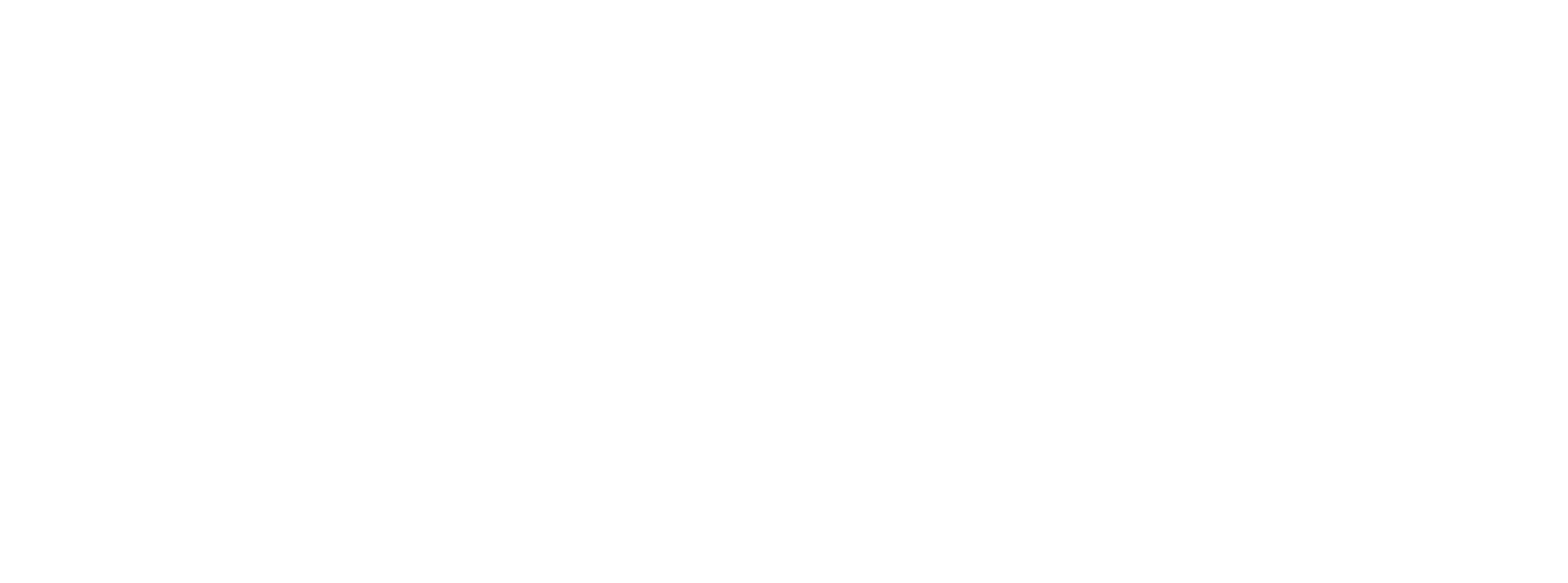 Braddock: Missing in Action III logo