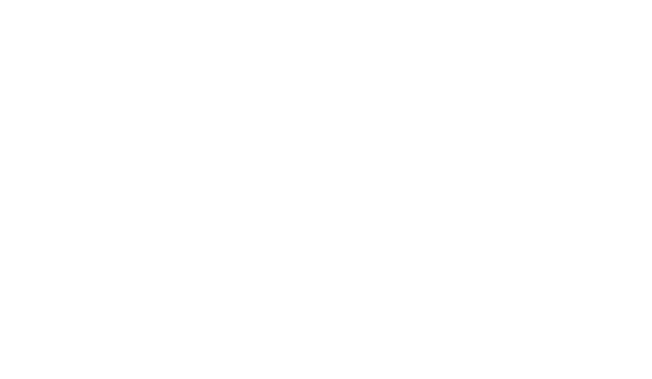 Dragon: The Bruce Lee Story logo