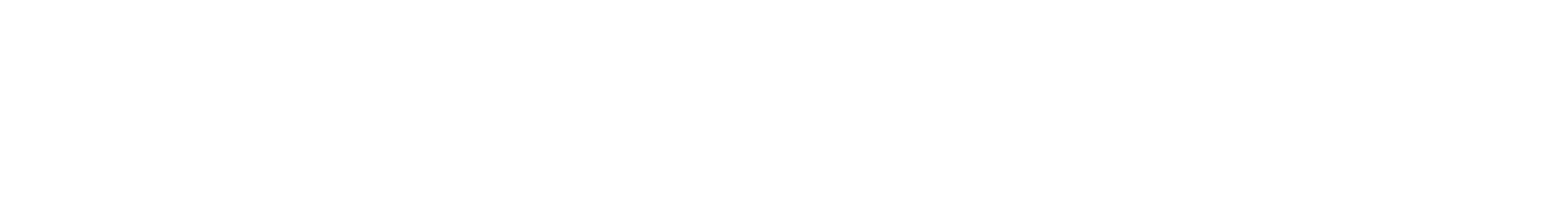 Salem logo