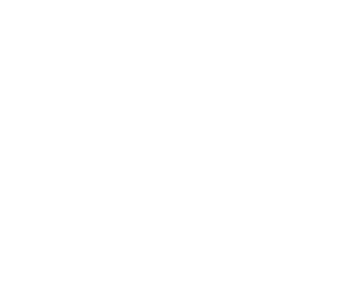 Soul on Fire logo
