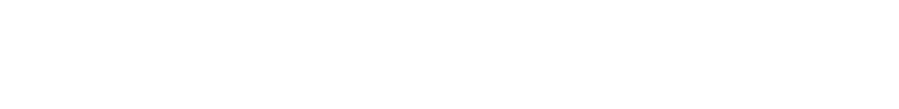 Handsome Siblings logo