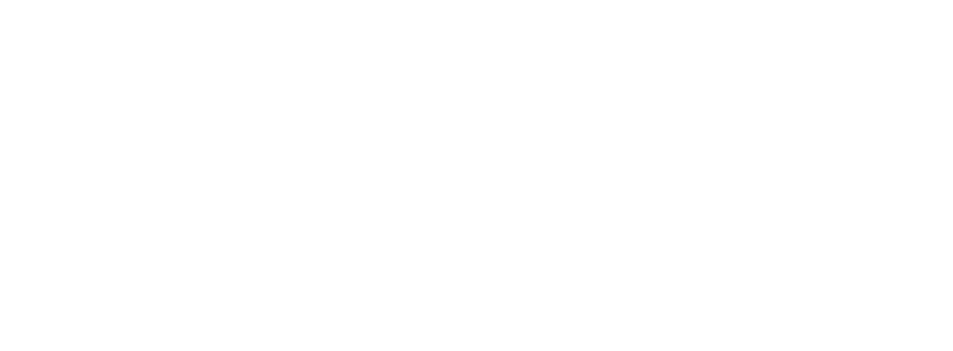 Night Crossing logo