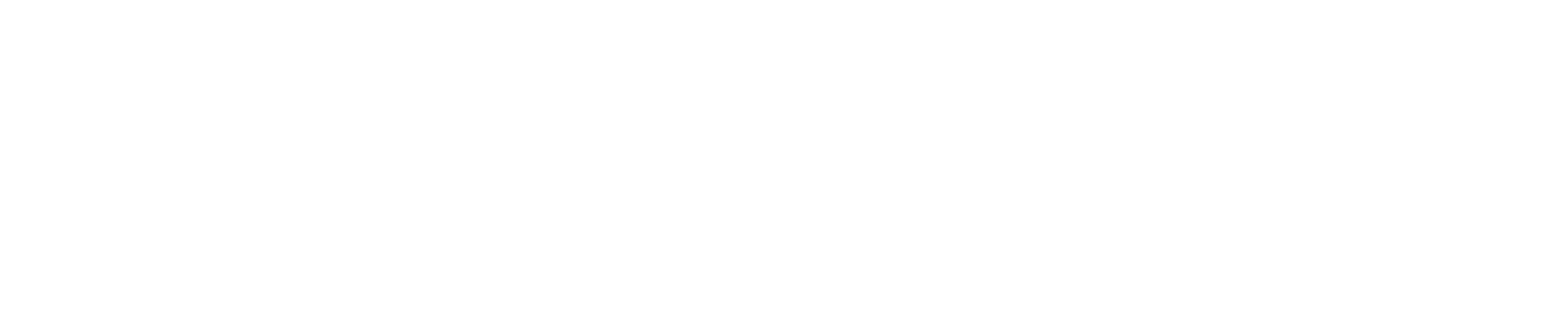 The Theory of Everything logo