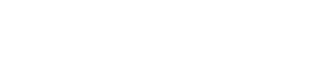 Ladies in Black logo