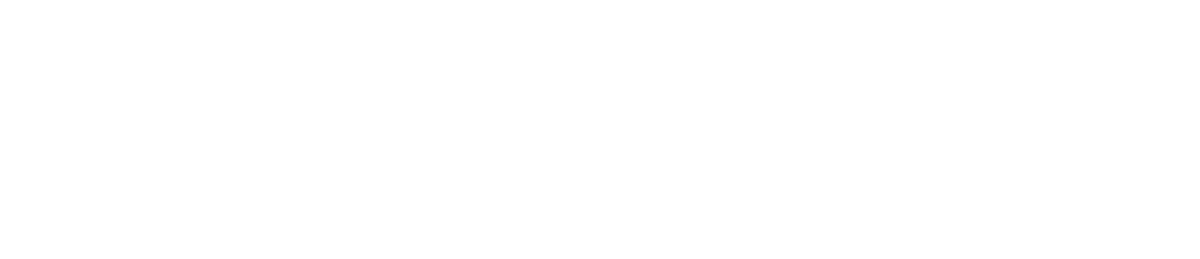 The Completely Made-Up Adventures of Dick Turpin logo