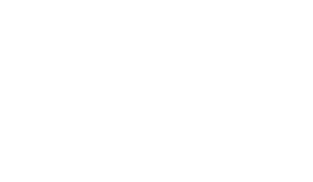 Lady Vengeance logo
