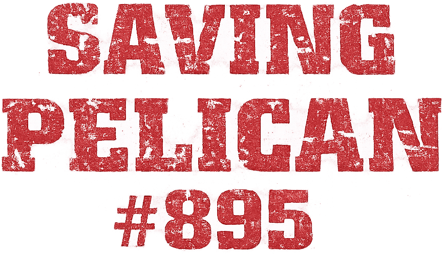 Saving Pelican 895 logo