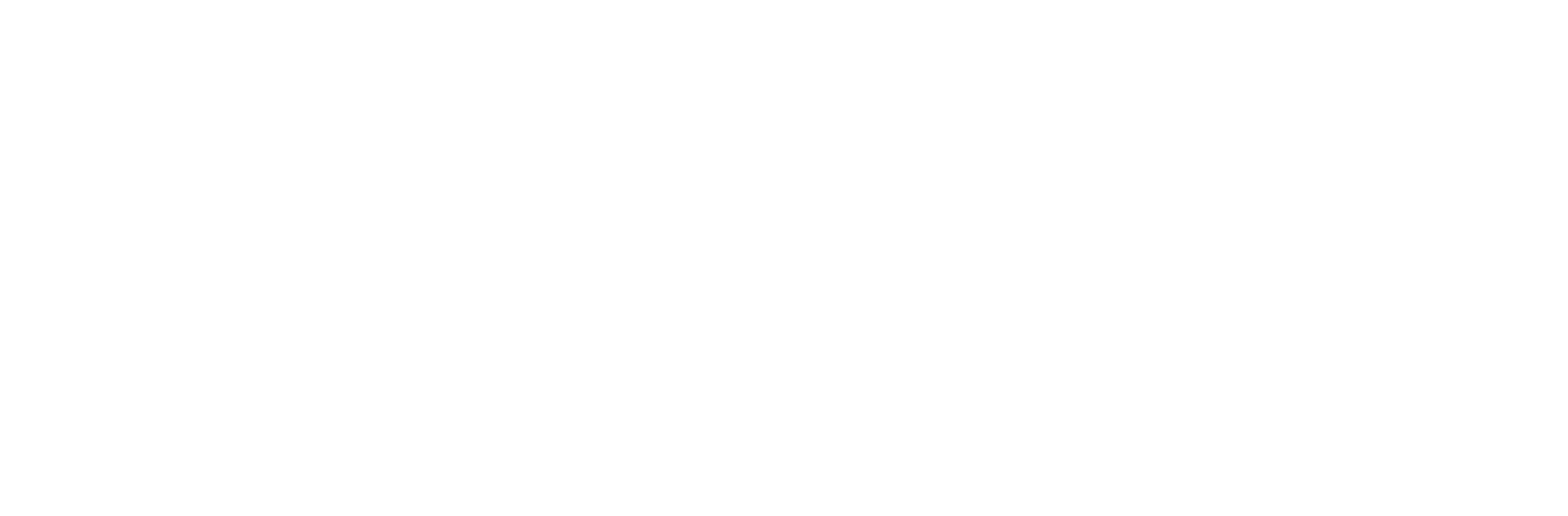 The Boondocks logo