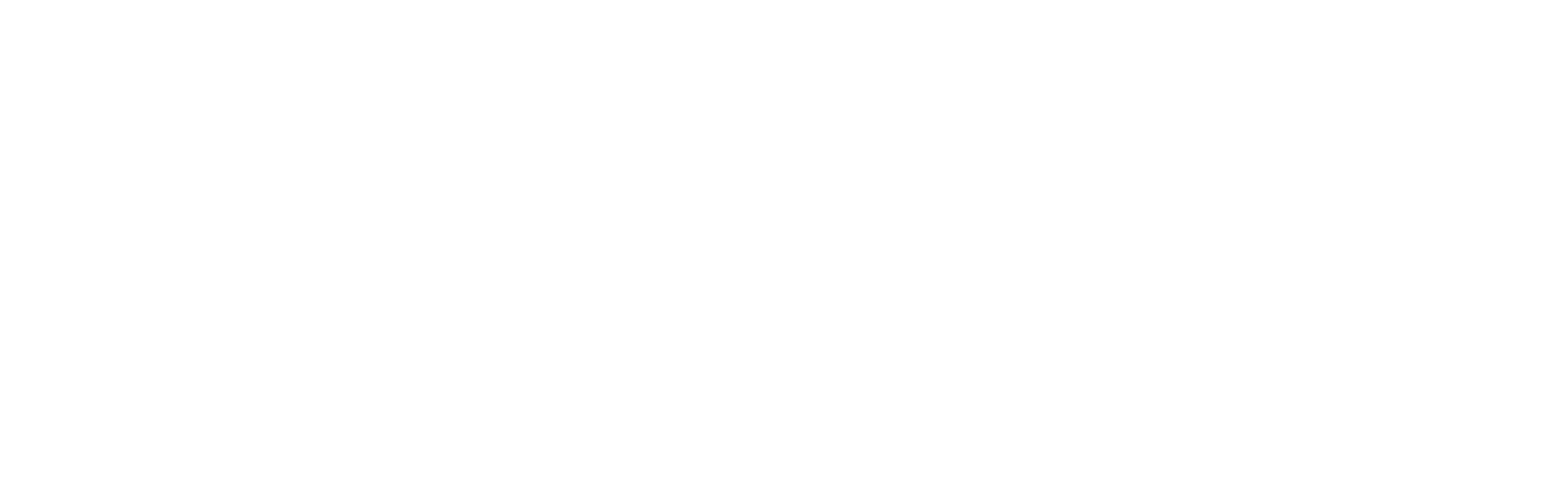 Death in Brunswick logo