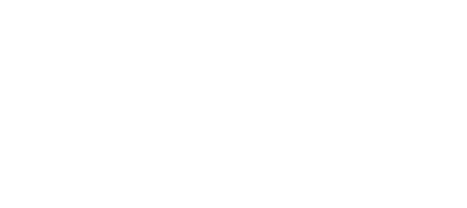 Ricochet logo