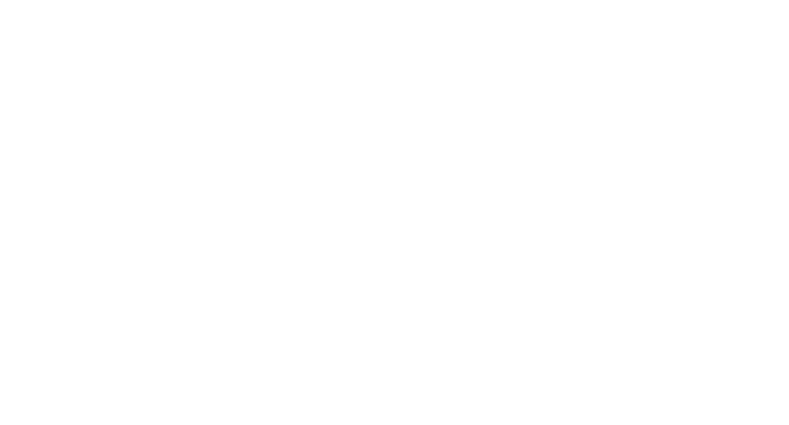 Sundown Riders logo