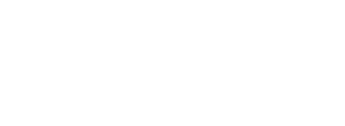 She Devils of the SS logo