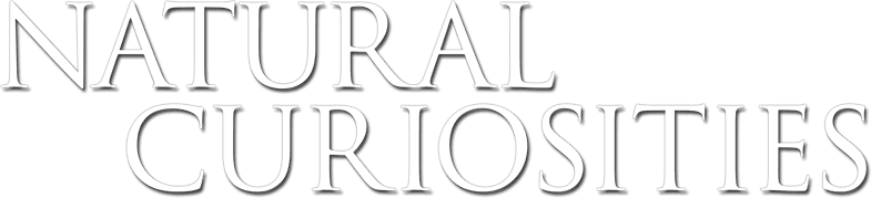 David Attenborough's Natural Curiosities logo