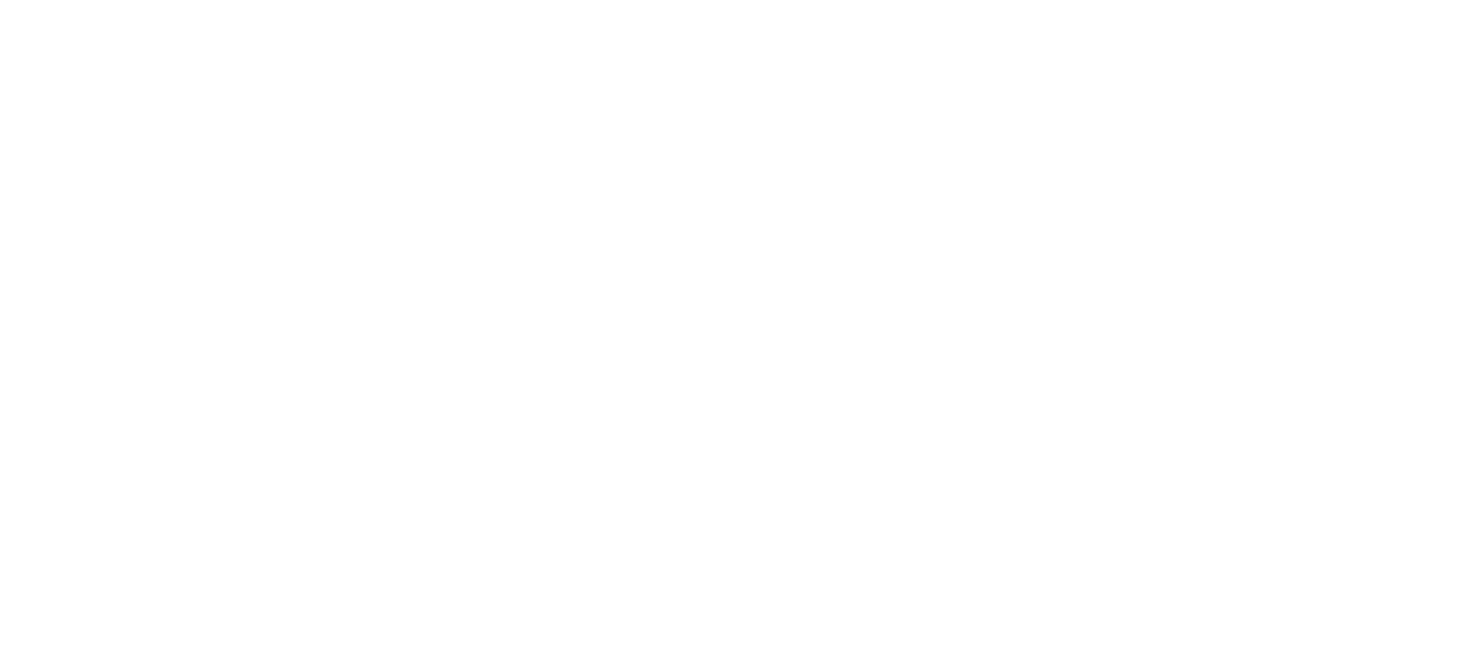 The Copenhagen Test logo