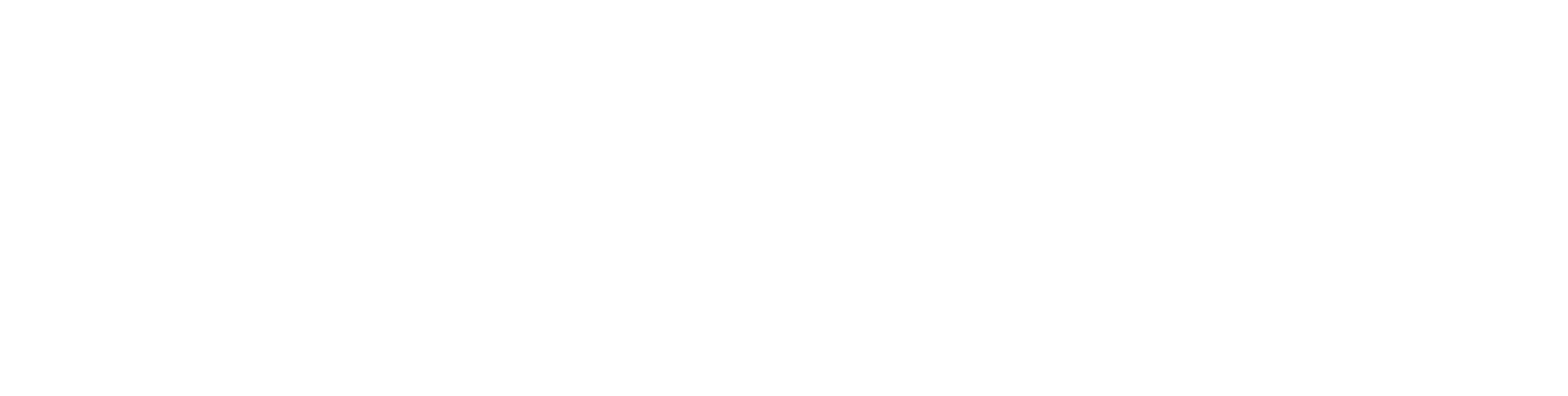 Dangerous Play logo