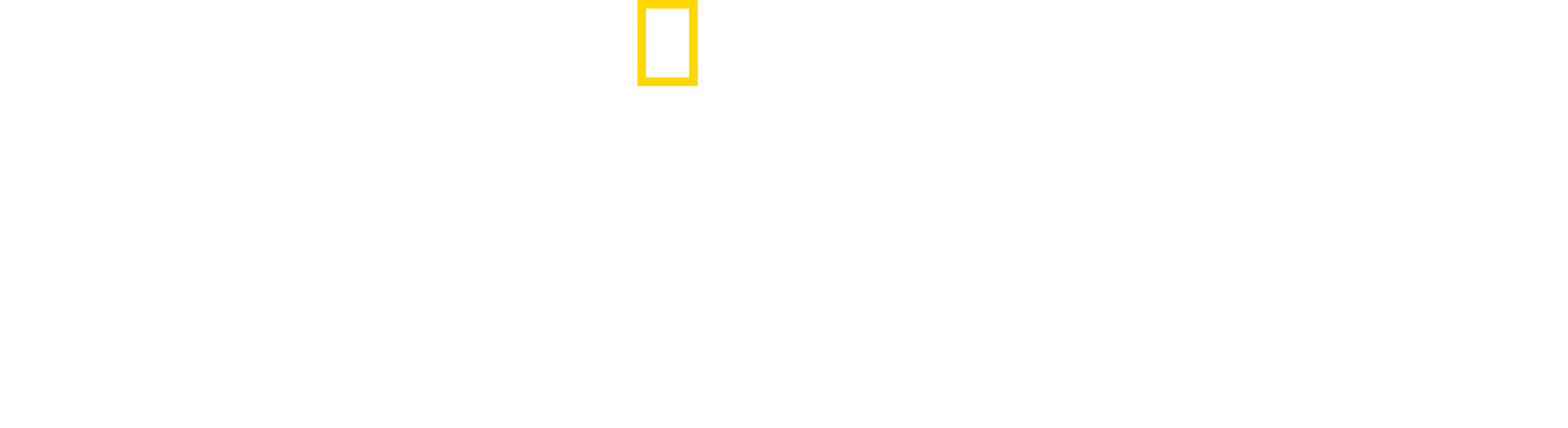 Critter Fixers: Country Vets logo
