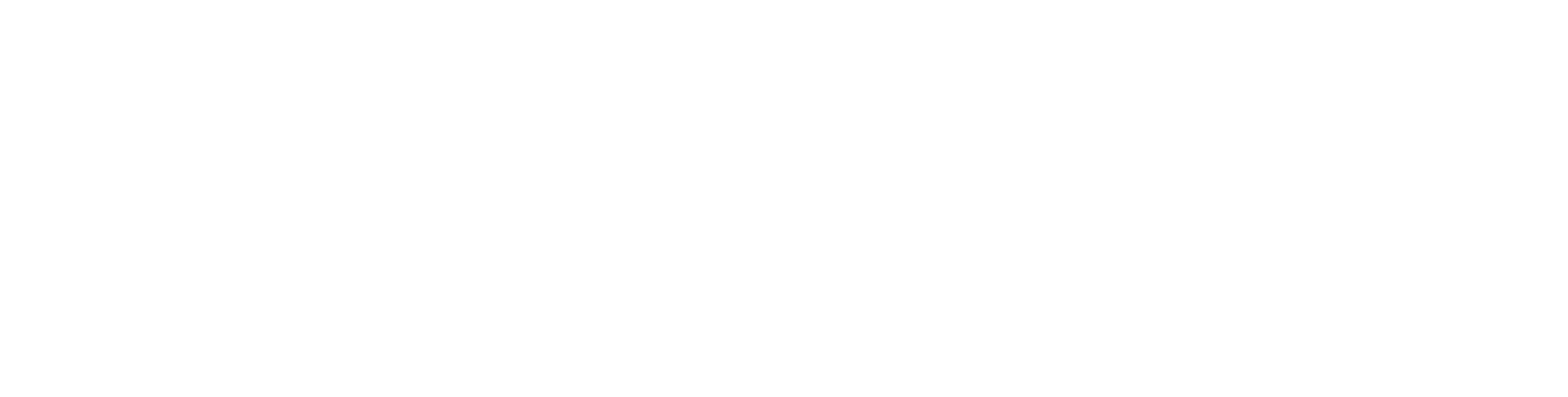 Thundercloud Rainstorm logo