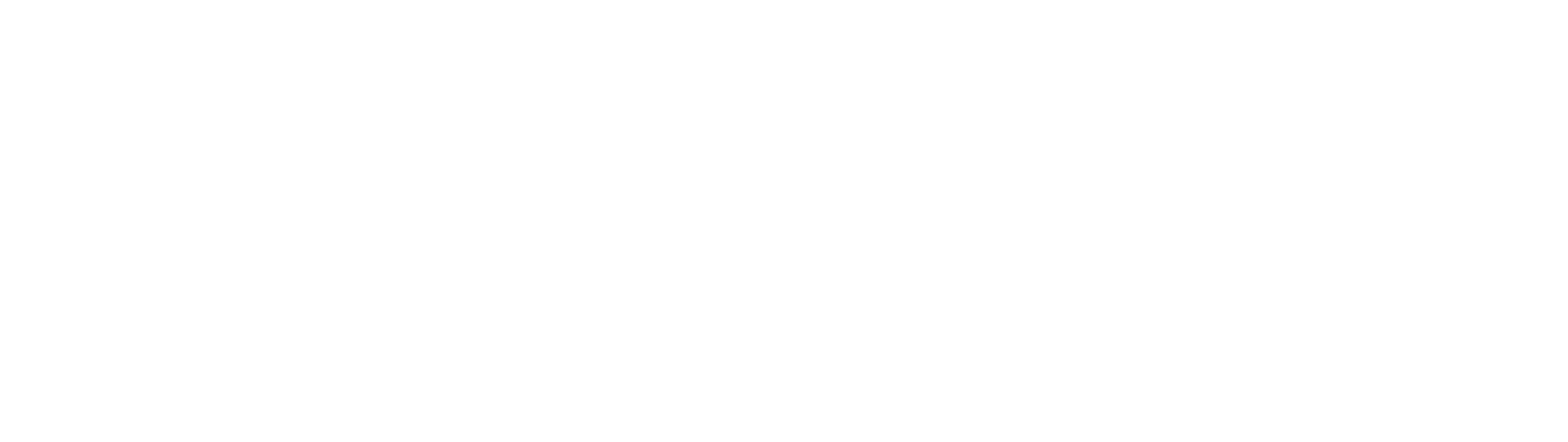 The Lowdown logo
