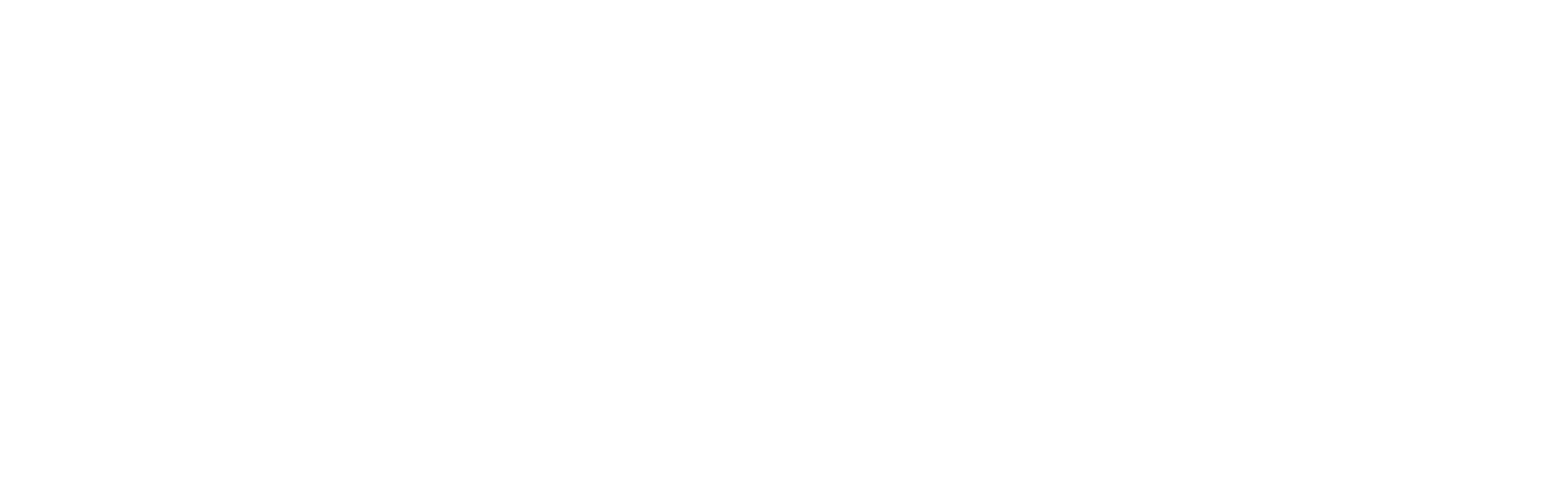 Laws of Attraction logo