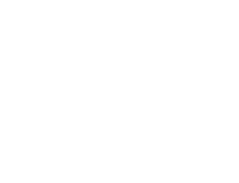 Blonde Savage logo