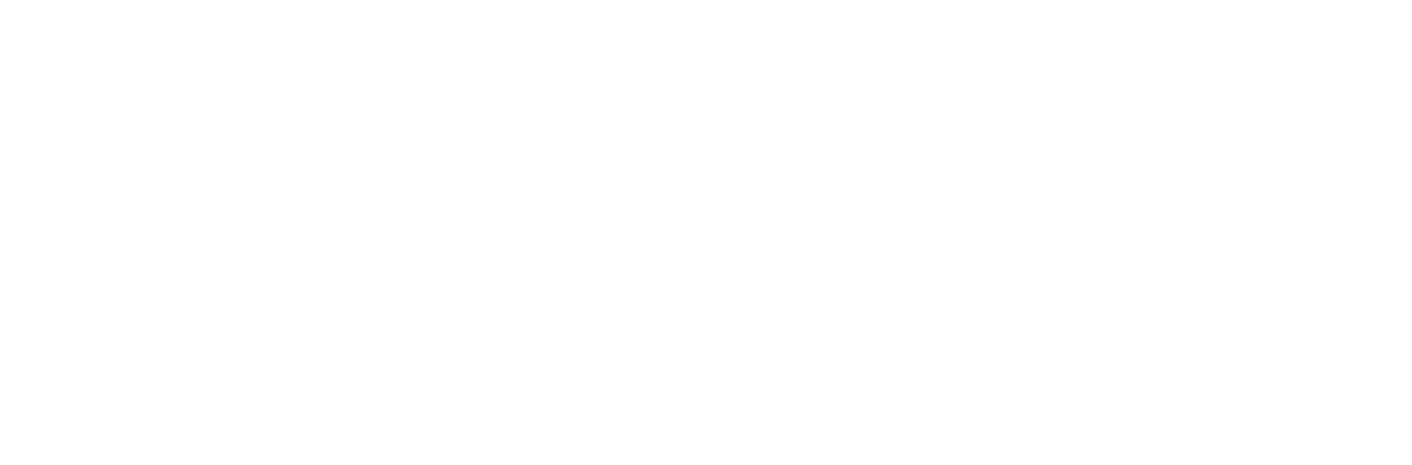 2010 logo