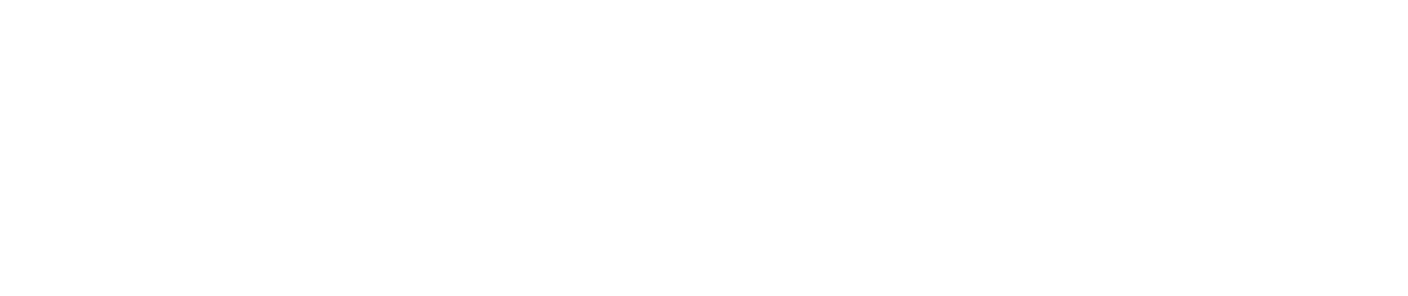 Skins logo