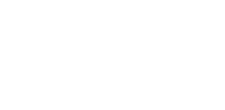 Fort Savage Raiders logo