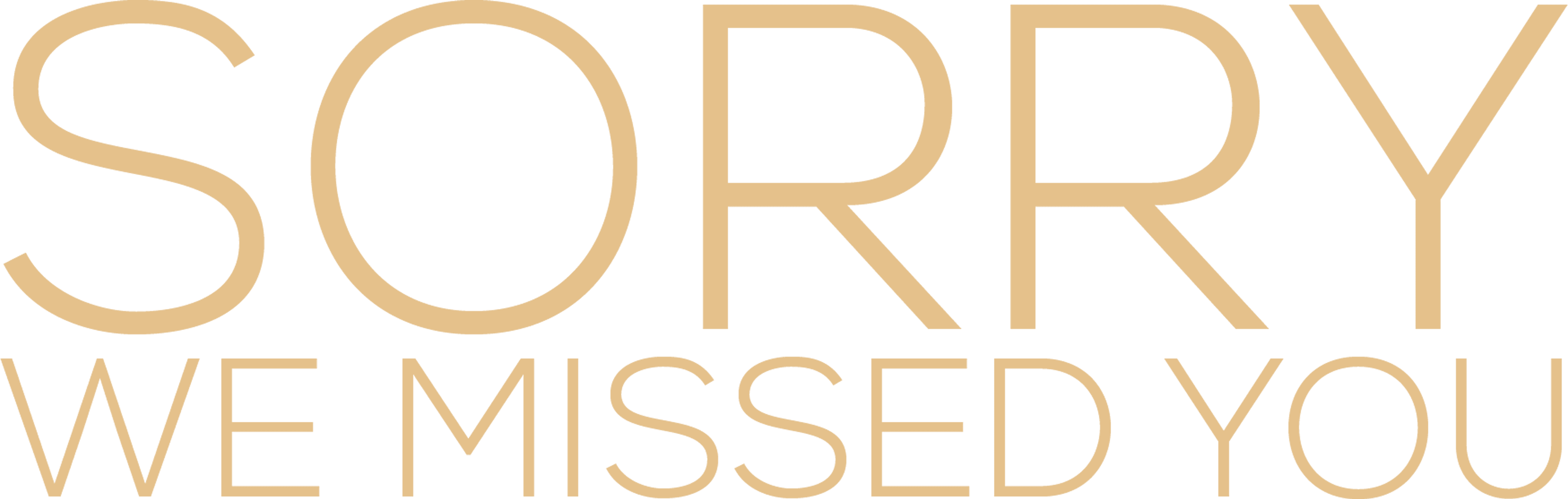 Sorry We Missed You logo