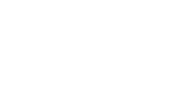 The Secret of Roan Inish logo