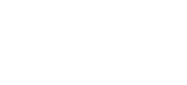 BLUE logo