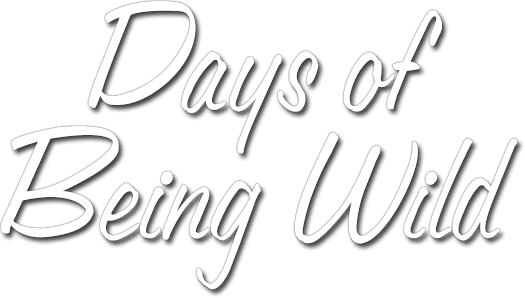Days of Being Wild logo