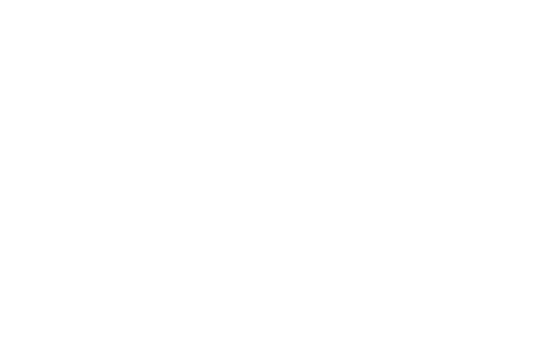 Pit Stop logo