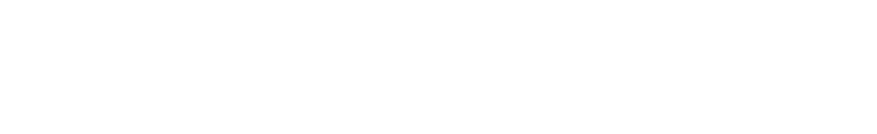 Breach logo