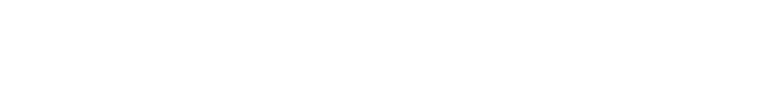 Customs Agent logo